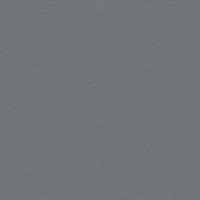 P2 EUROLINE 995 (базальтово-серый)