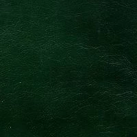 орегон antik 41